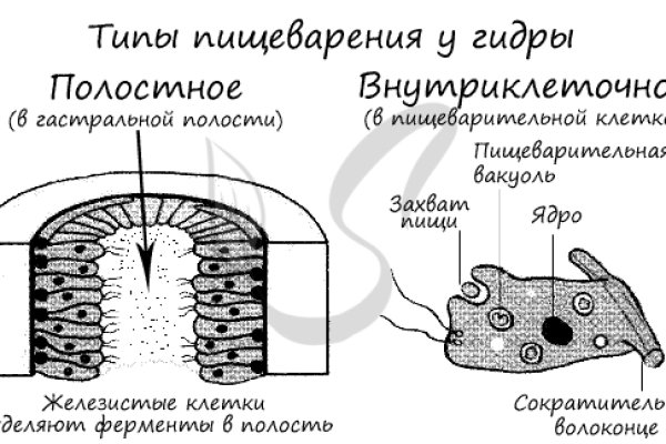 Кракен даркнет плейс