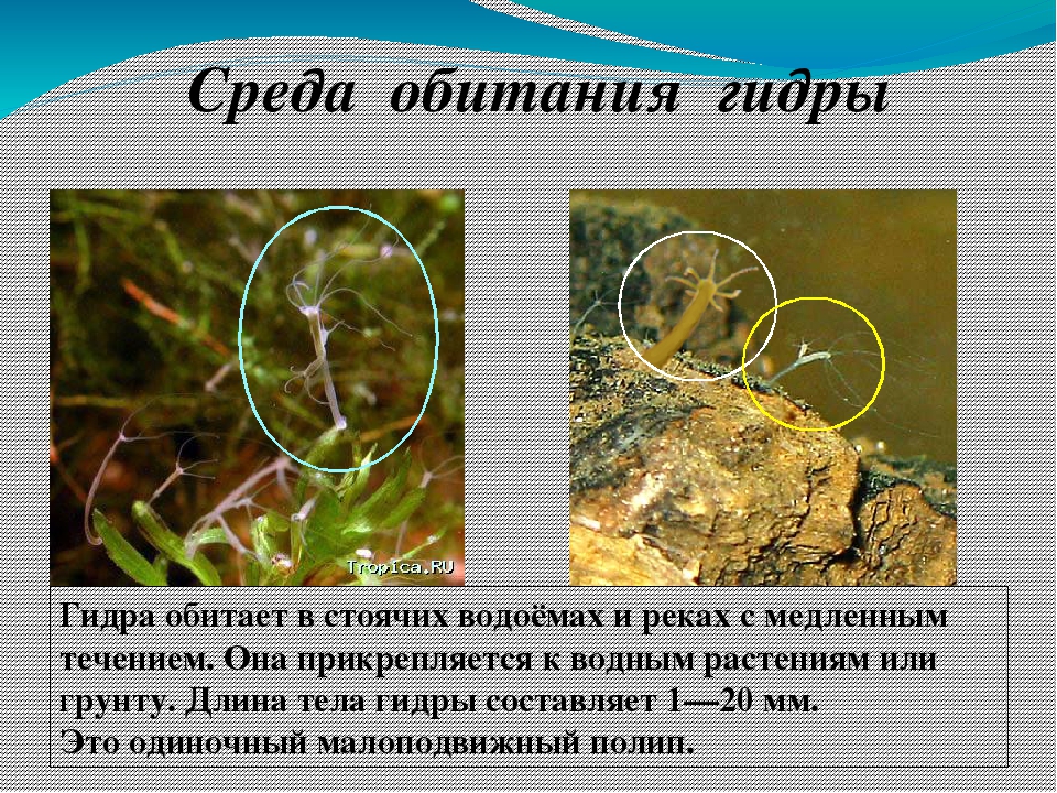 Как войти на кракен