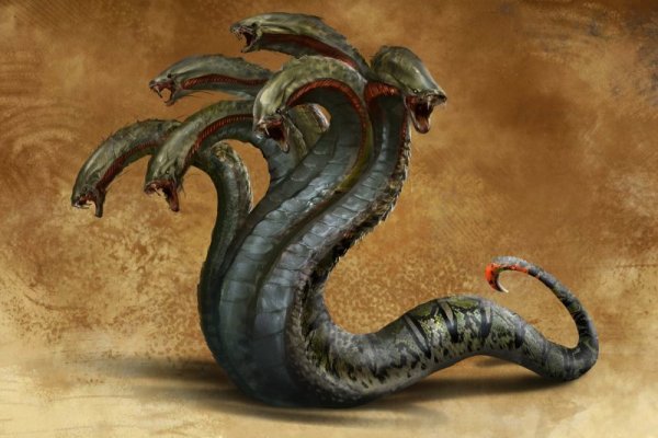Kraken актуальное